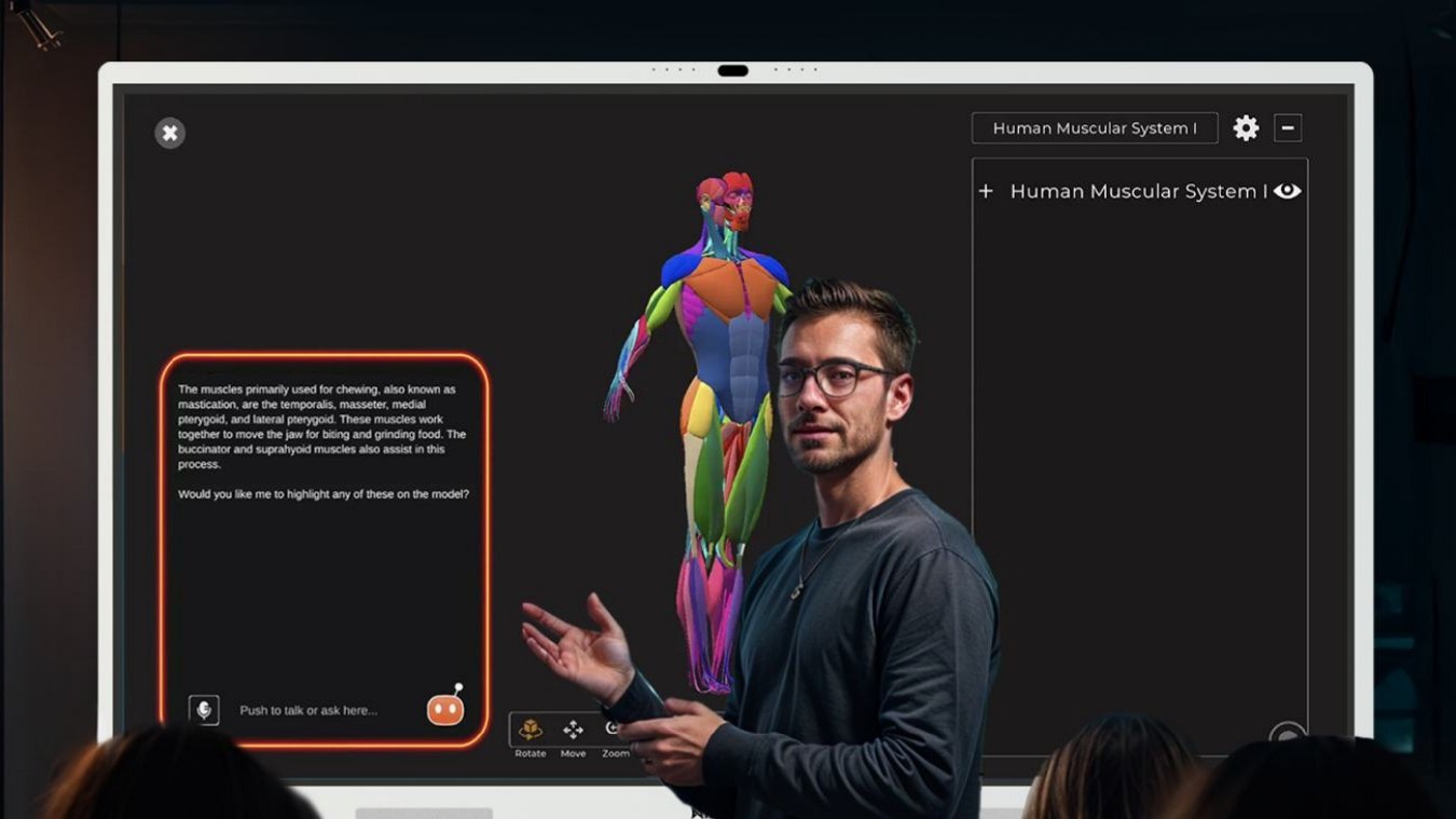 A teacher explains a 3D model of the human muscular system on the whiteboard while the AI answers in a side panel